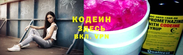 spice Бородино