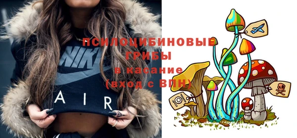соль ск Верея
