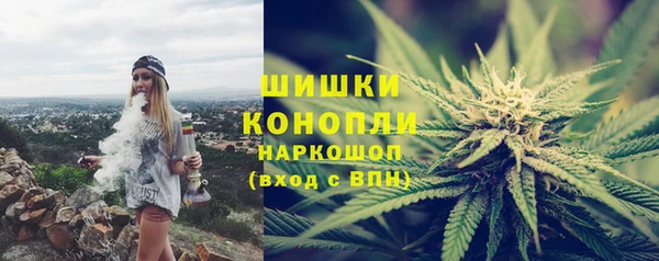 spice Бородино
