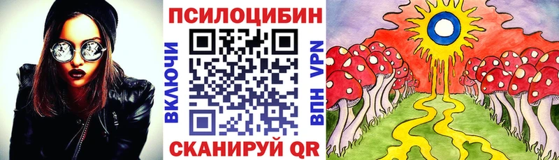 Галлюциногенные грибы Magic Shrooms  Волгореченск 
